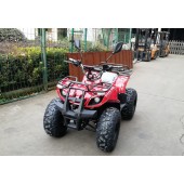 Квадроцикл GreenCamel Атакама T320 (48V20Ah 1000W R8)