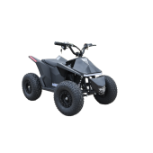 Квадроцикл Skyboard CyberTruck Sochi Kids